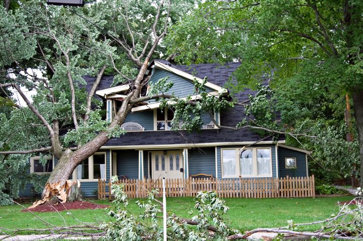 home-damaged-by-tree